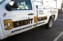 Desert Swarm Truck Decals Installed 2