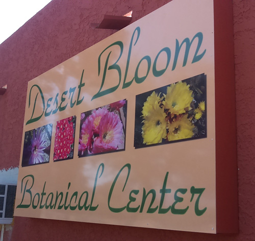 Desert Bloom Sign Install