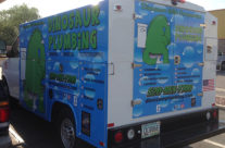 Dinosaur plumbing wrap Tucson